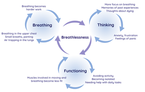BTF graphic